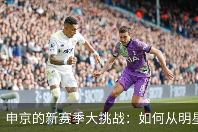 申京的新赛季大挑战：如何从明星变成火箭的“压舱石”？